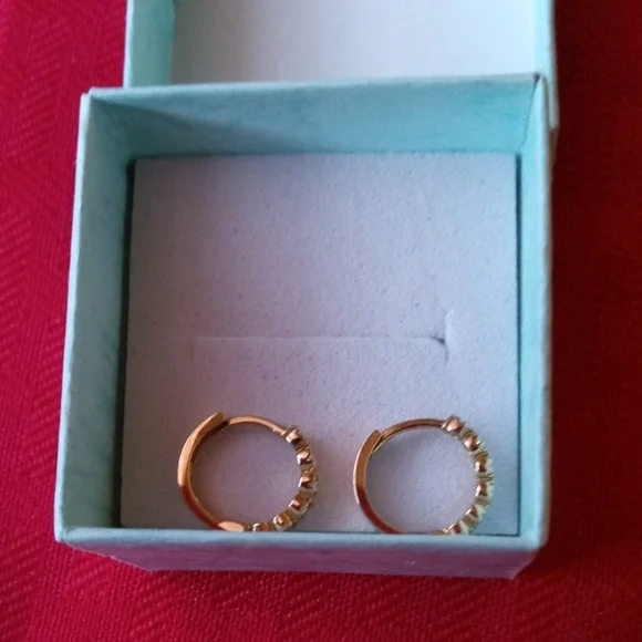 10K Gold Huggie Hoop Earrings